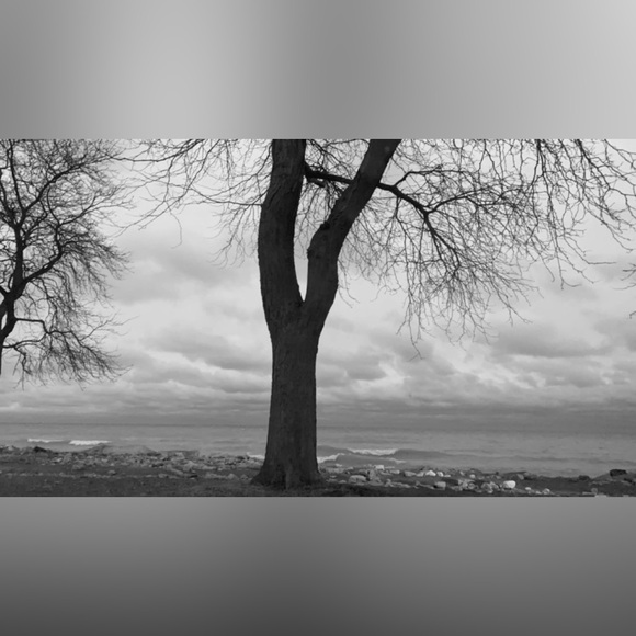 Meet your Posher, Carrieana - Picture 4 of 4